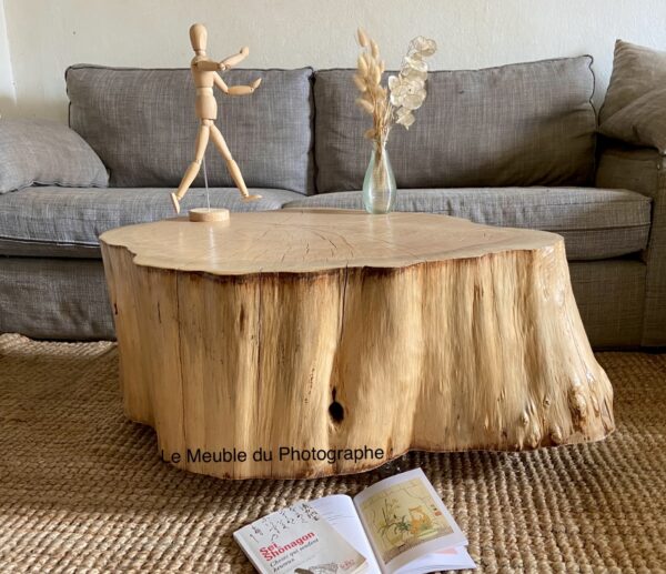 grande table rondin en bois naturel 75 cm dans salon nature déco irignale