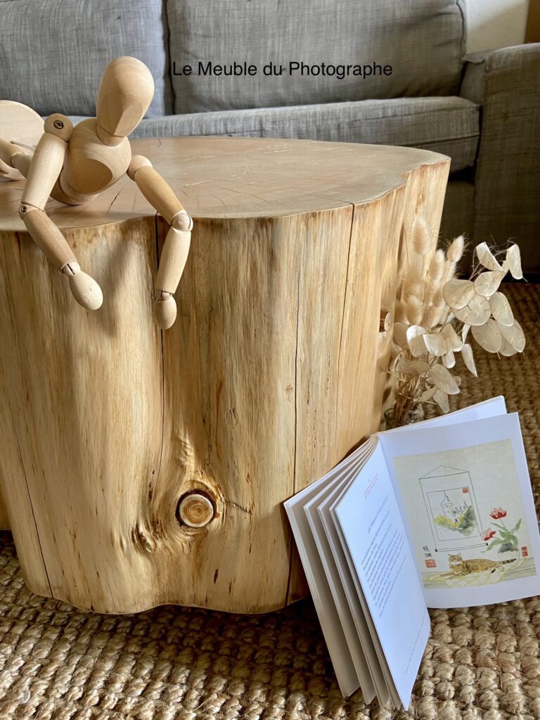 Le Meuble Du Photographe