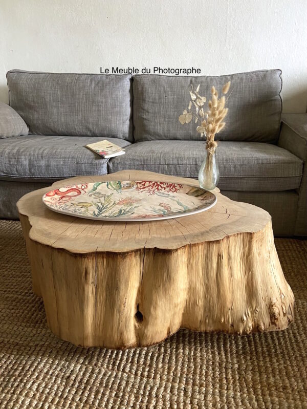 salon avec grande table rondin nature pin et déco zen naturel wabi sabi