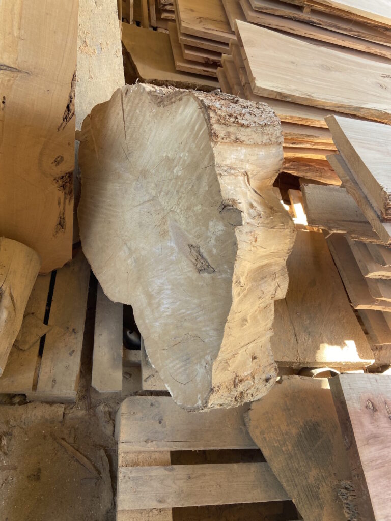 Le Meuble Du Photographe