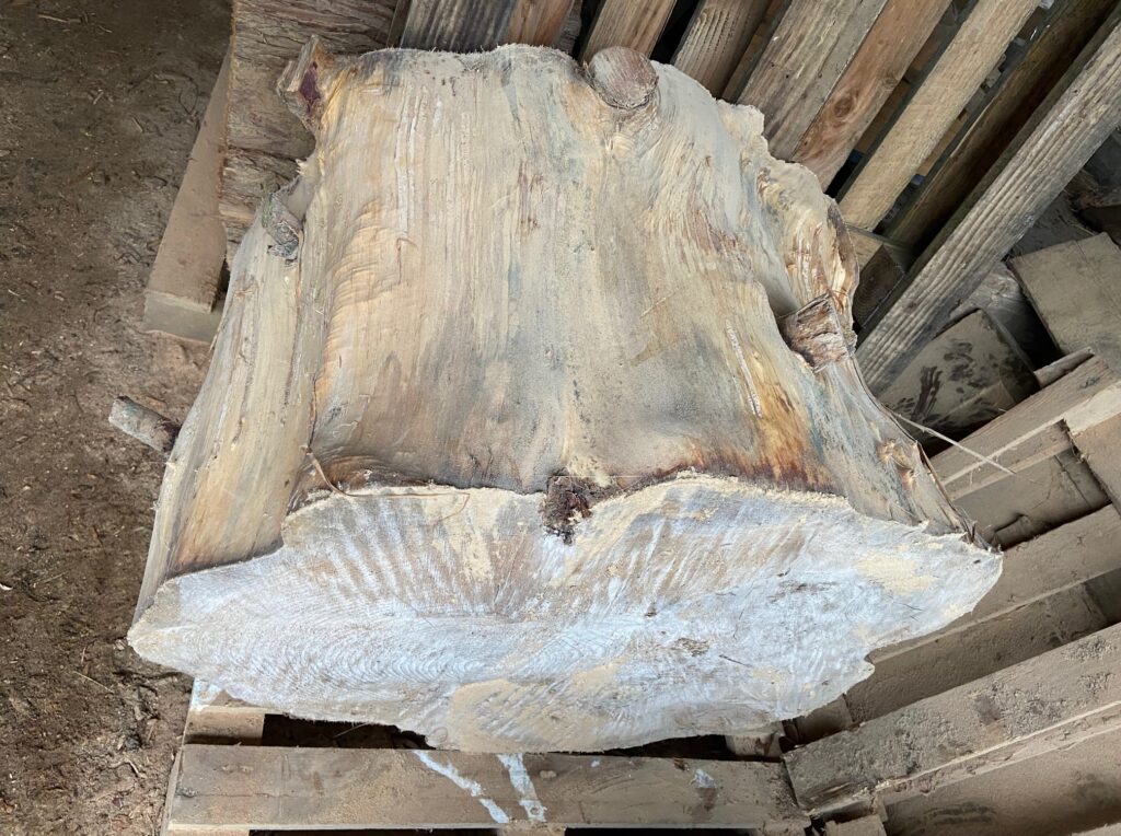 Le Meuble Du Photographe