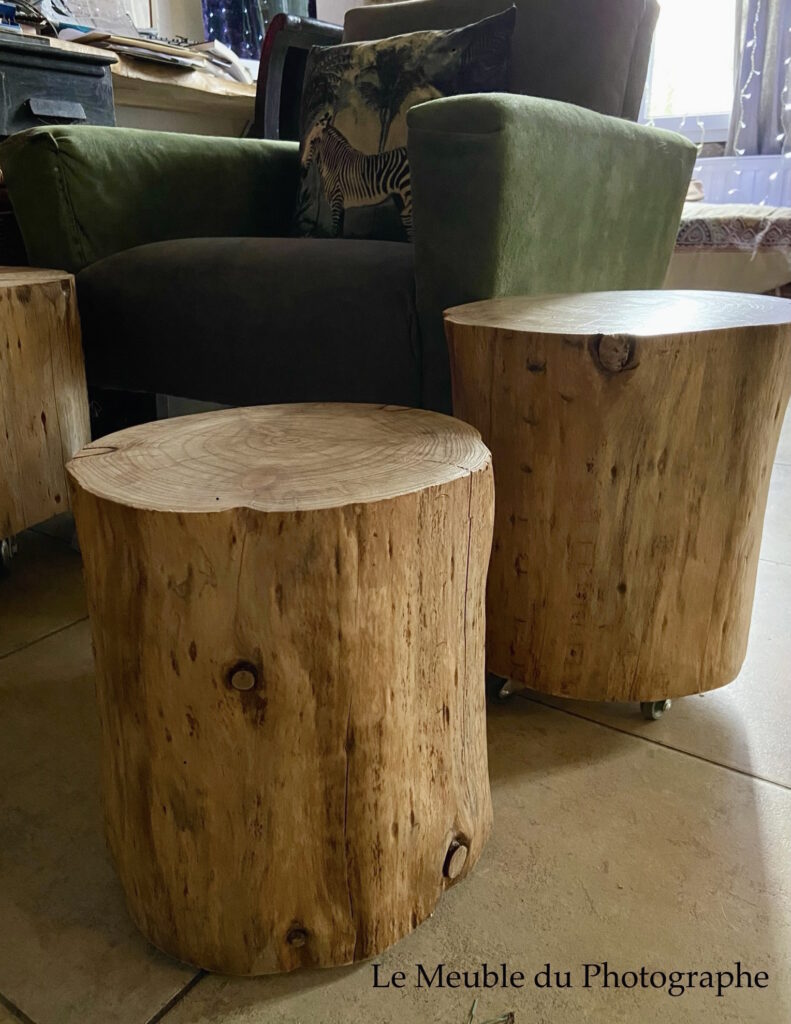 Le Meuble Du Photographe