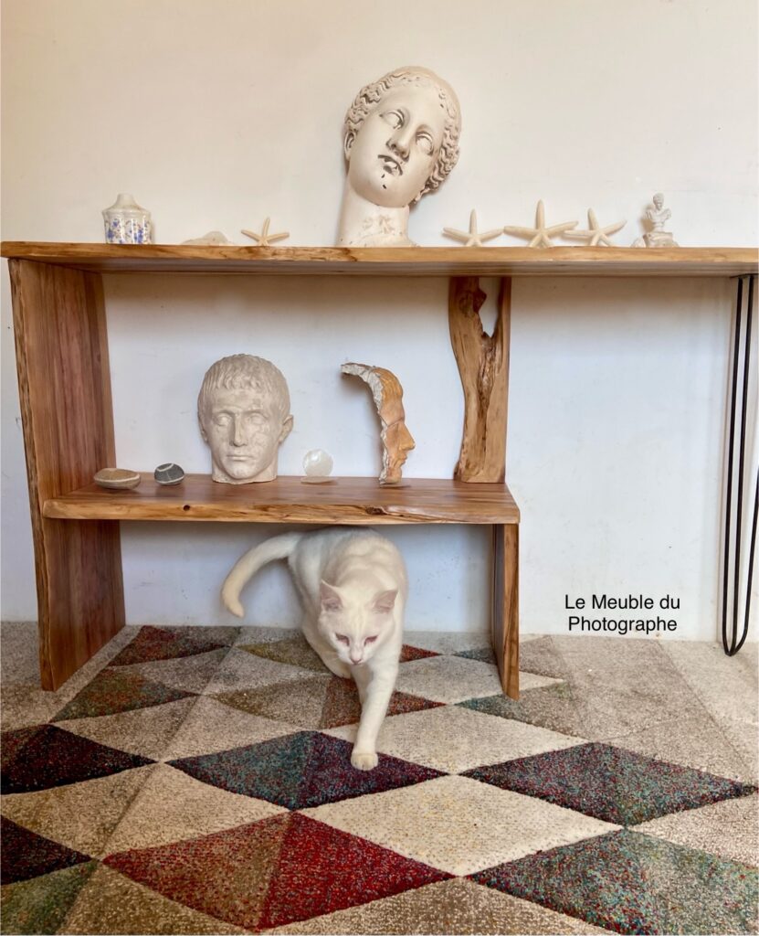 Le Meuble Du Photographe