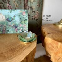 table rondin de bois veines