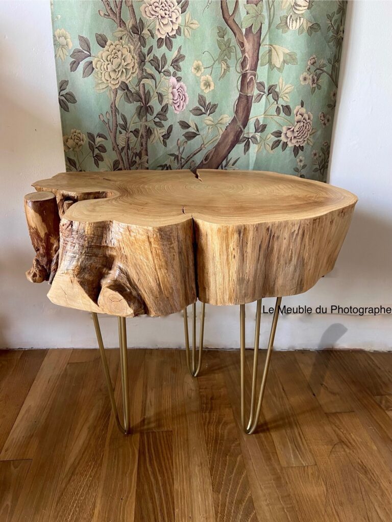 Le Meuble Du Photographe