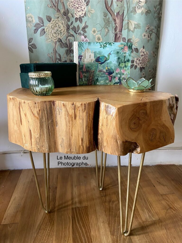 Le Meuble Du Photographe