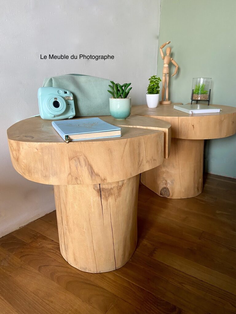 Le Meuble Du Photographe