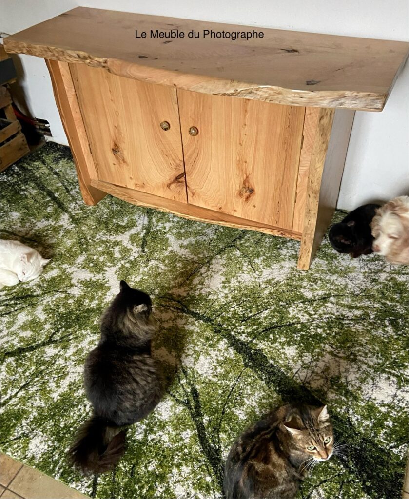 Le Meuble Du Photographe