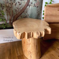 Petite table rondin forme champignon pour table basse ou de chevet. Dimensions 40x40cm. Bois local français.