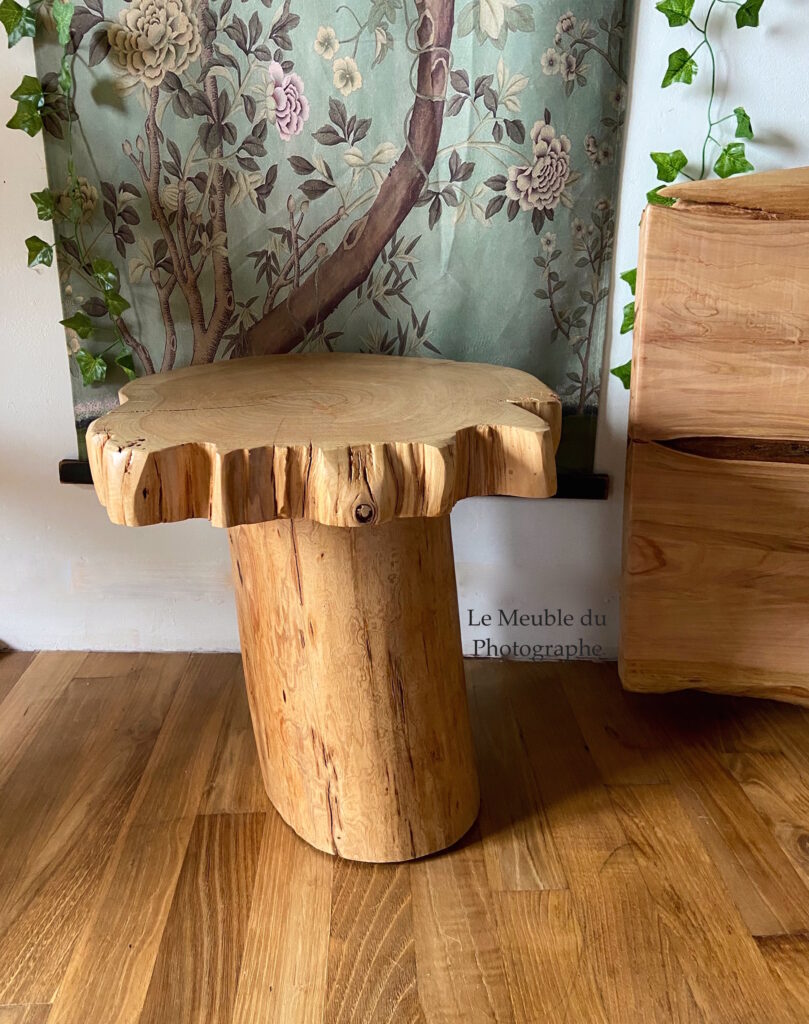 Le Meuble Du Photographe