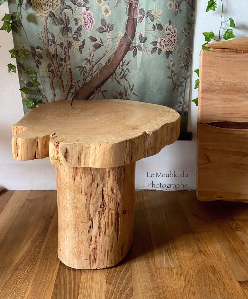 Le Meuble Du Photographe