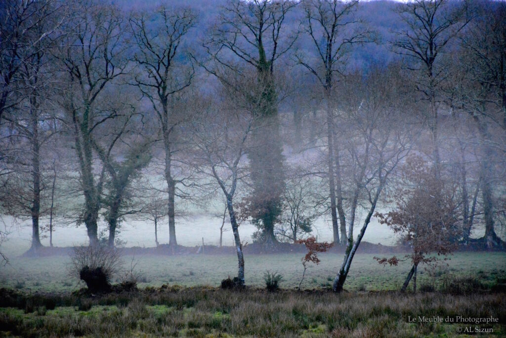 Le Meuble Du Photographe