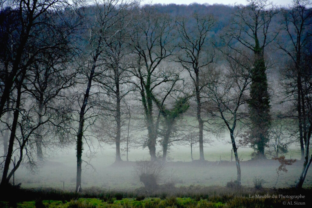 Le Meuble Du Photographe