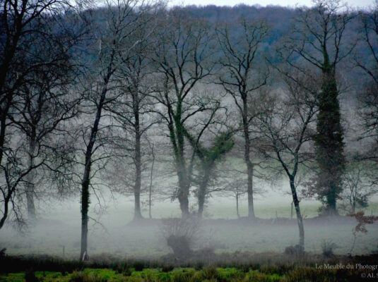 Brume dans la campagne. Bretagne, Lanvénégen.