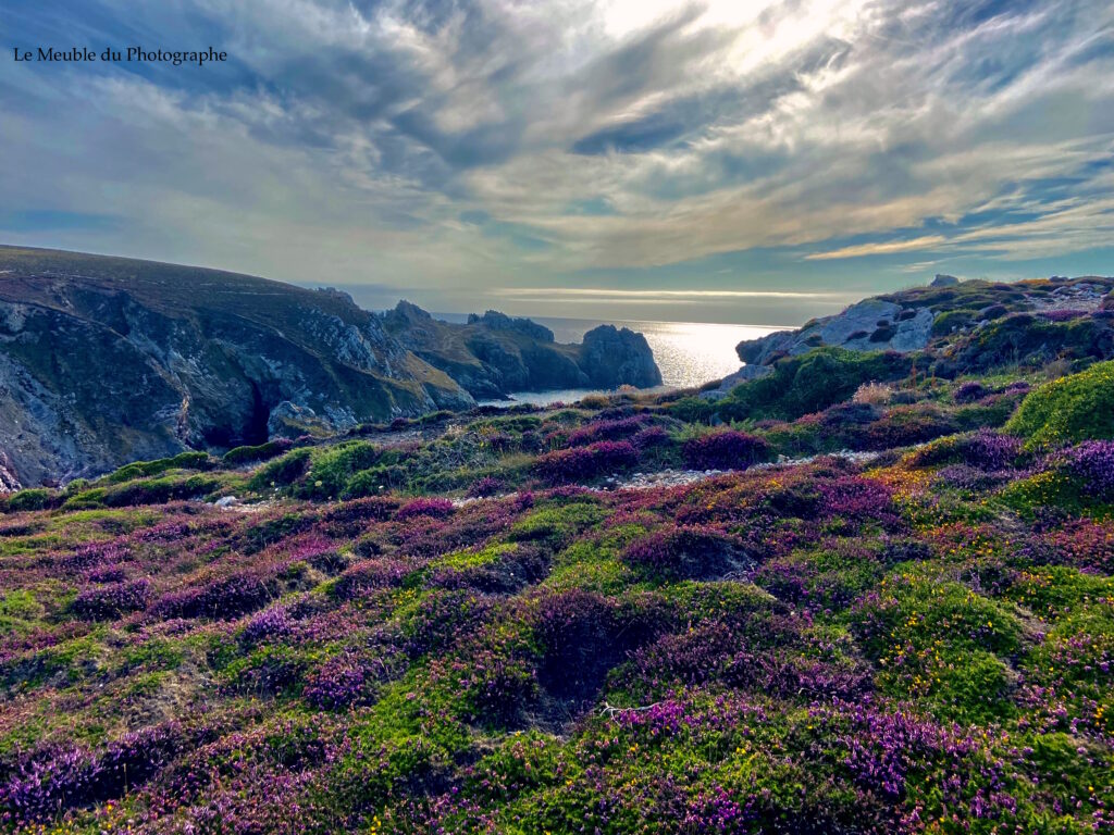 Le Meuble Du Photographe