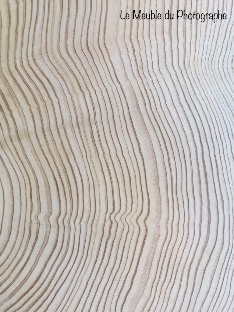 Le Meuble Du Photographe