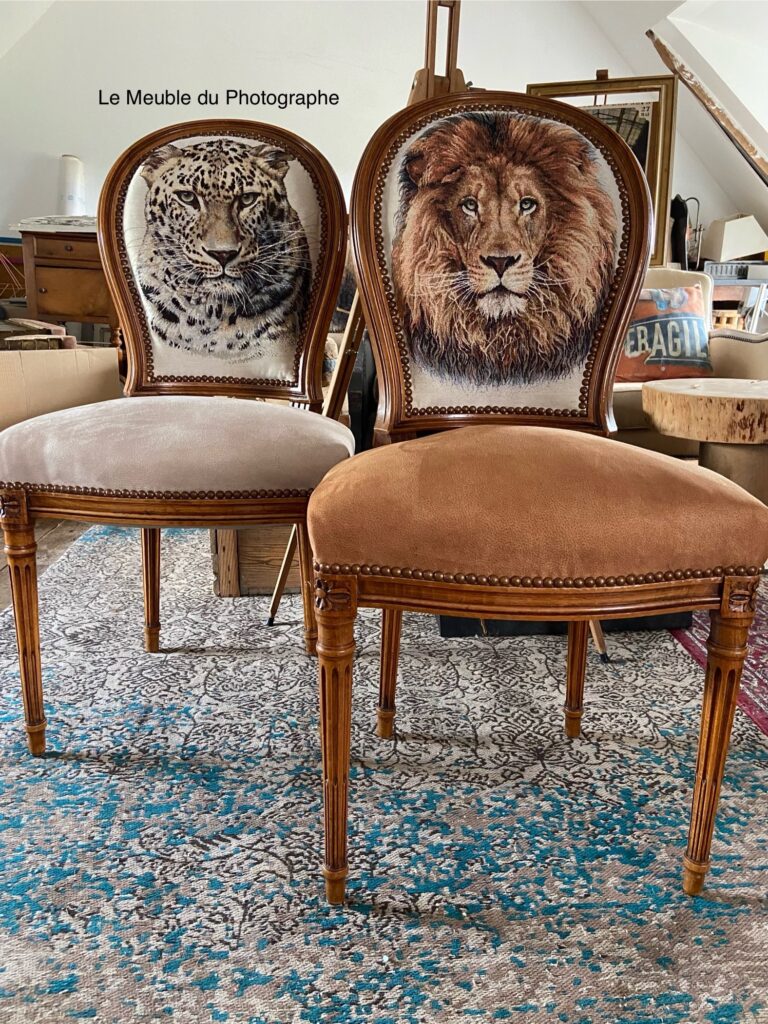 Le Meuble Du Photographe