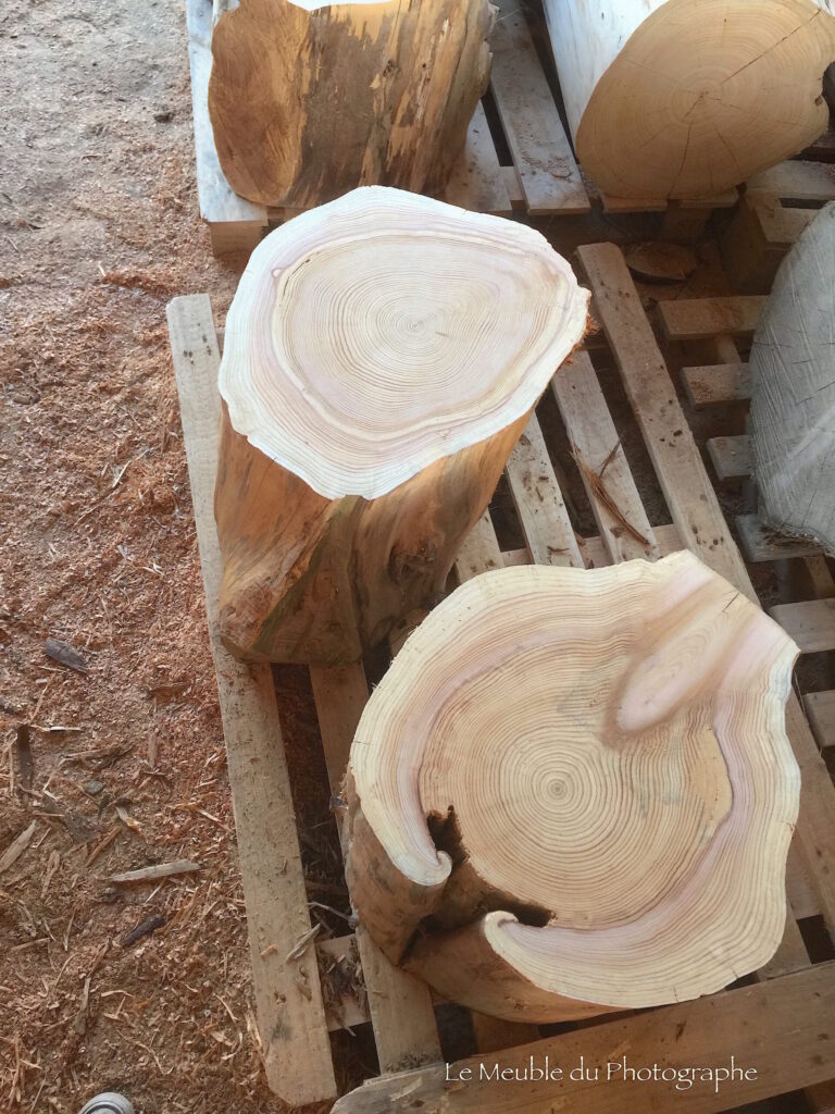 Le Meuble Du Photographe