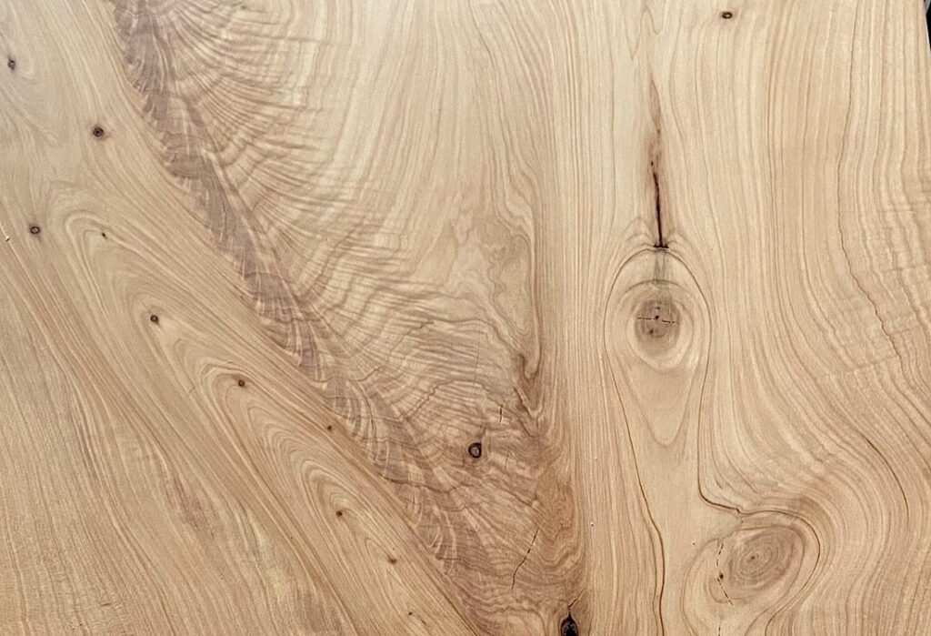 Le Meuble Du Photographe